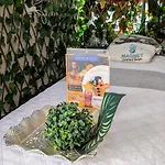 Piscinas con vista increible, bar, música y playa